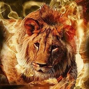 xMkSacF5VYbyPoJ's profile picture. 