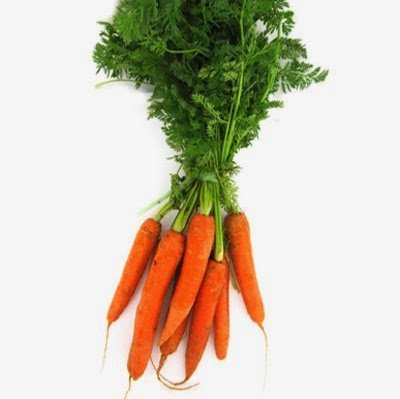 yann_renan's profile picture. 