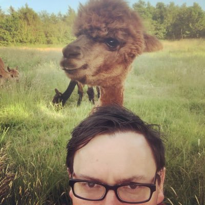 1leekane's profile picture. Alliance Party Councillor Ballymoney. Work cyp charity. Have alpacas. Views all mine and not necessarily shared by my employer. Or animals.