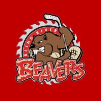 Blind River Beavers (@beaversnojhl) 's Twitter Profile