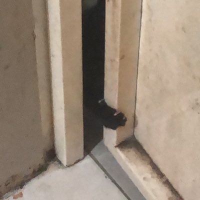 y_my75's profile picture. doctor