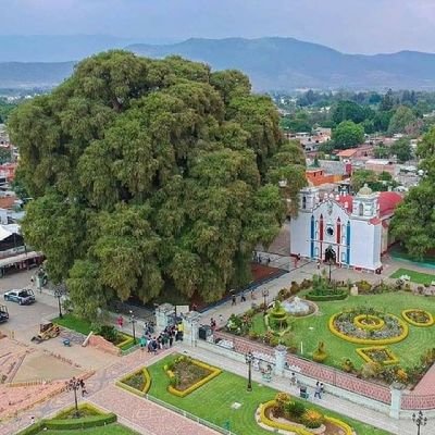 jclopez935's profile picture. 