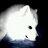 harveyhunter's profile image
