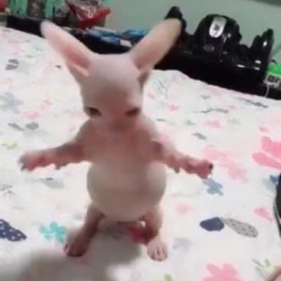 karmaさんのプロフィール画像