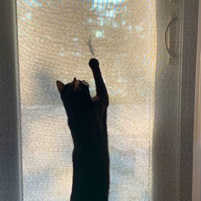 honumini's profile picture. 