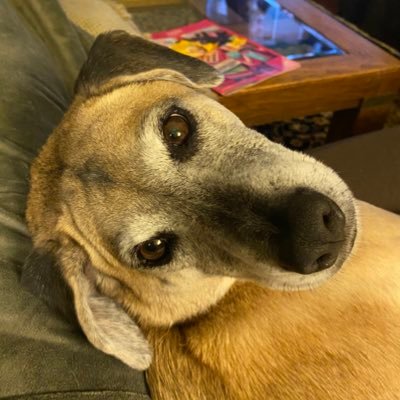 Holly11971's profile picture. 