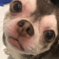 Sunseyt (@sunseyt1) Twitter profile photo