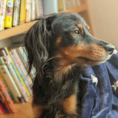 haggy79427068's profile picture. 