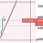 Sick of the woke BS - dont get too close if you cant take the heat. I provide a reality check for the mentally unstable. #buybitcoin