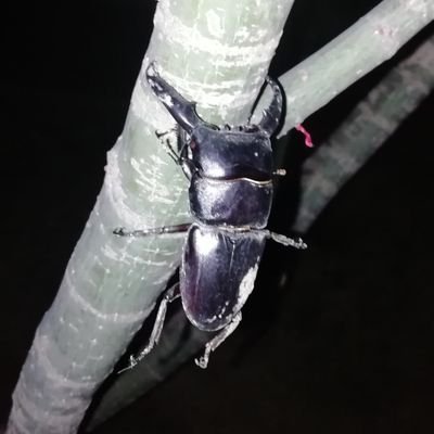 Paulhung886's profile picture. 
