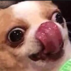 acultureenjoyer's profile picture. let me enjoyyyu