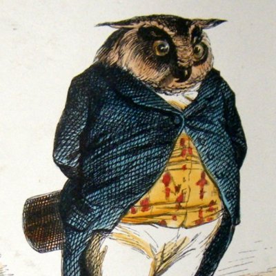 JoseLuiSfm17's profile picture. Música y diversión.