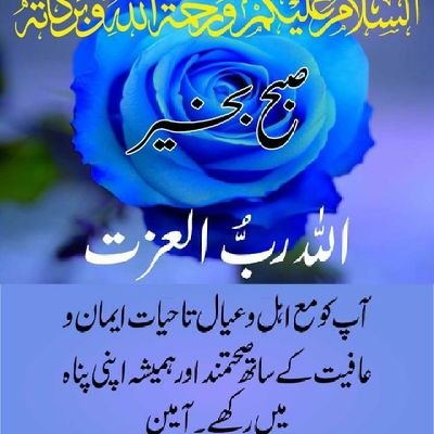 Liaqat16612582's profile picture. 