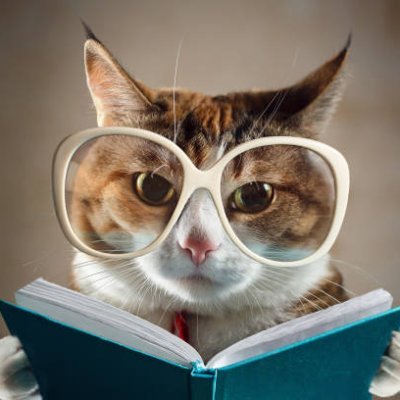 Jimi202020's profile picture. به یاد
#پویا_بختیاری
#نوید_افکاری
#مهسا_امینی
#نیکا_شاکرمی
#سارینا_اسماعیل_زاده
#زن_زندگی_آزادی