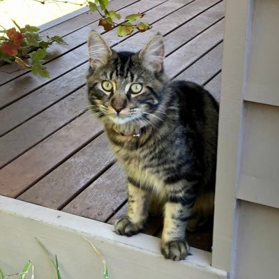 liam_B83's profile picture. music, books, tennis