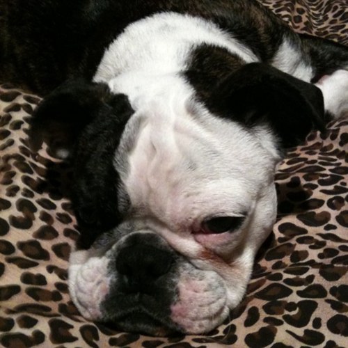 spdj1972's profile picture. 