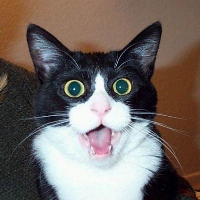 ikurasyake's profile picture. 