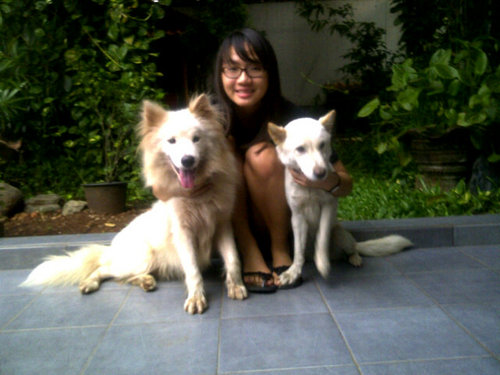 Athletea Wijaya Profile