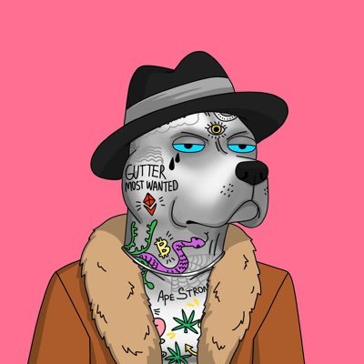 Papa Pit Baws Profile