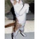 sandra eversole - @lkewlness - Twitter