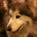 shyun_lee - @hunnnyeo - Twitter