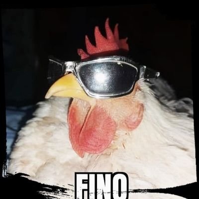 VidalValle4's profile picture. Juego Beyblade y me gusta la pizza :v