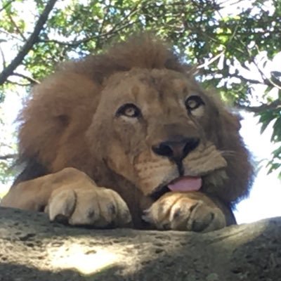 バリ島旅行はお任せ!大好きバリ🌴バリ島の魅力を現地から発信!!インドネシア国内から訪れる方そして海外から訪れる方へバリ島の色々をお知らせします!!