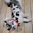 Denny Lam - @Ilikegamezzzzz - Twitter