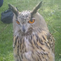 Enkhtur (@_turuu_) 's Twitter Profile