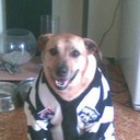 Gary Licht - @a1nirvava - Twitter