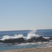 YM C (@ymcsmex) 's Twitter Profile