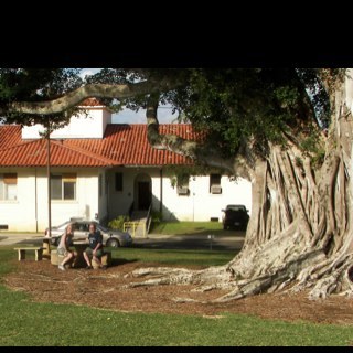 patihockey's profile picture. Lost, Hawaii 50, Pearl Jam, Hawaii. And food.