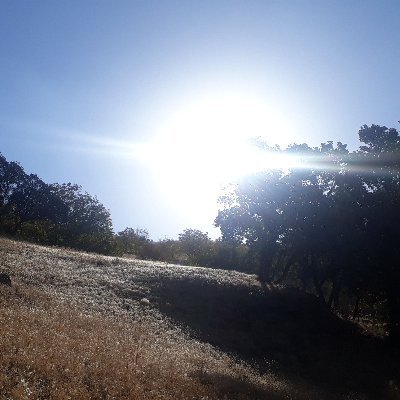 abe_fathi's profile picture. 