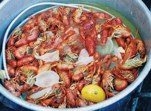 thefadedrose's profile picture. We take the utmost pride in offering the highest quality New Orleans style comfort food at reasonable prices!