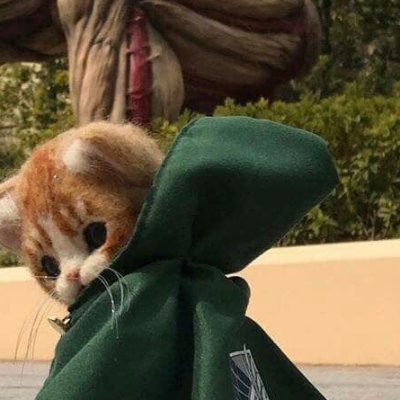 CryptosPatra's profile picture. those who dont care about tokenomics before buying and those who invest on fan tokens deserve anything// also beware of the pumps $om $dia $dego all has evil MM