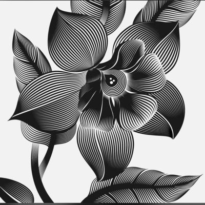 Freda Spillecke 🇺🇬🇩🇪