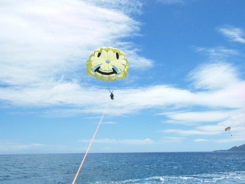 sasakacchan's profile picture. 
