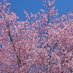 Japans Ambassadör i Sverige (@japanisverige) Twitter profile photo Japans Ambassadör i Sverige (@japanisverige) Twitter profile photo