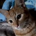 miko (@spiritual68miko) Twitter profile photo miko (@spiritual68miko) Twitter profile photo