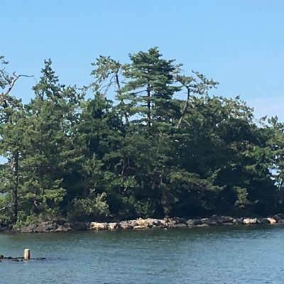 ka_ch_p's profile picture. 