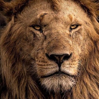 Health : Wealth : Self : Stealth - the eternal journey to success and fulfilment. Multi-gym owner. Crypto Degen.