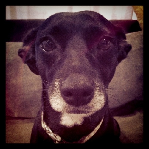 karimccarron's profile picture. 