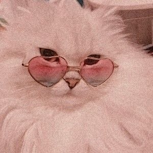 𝒩𝑜𝓃𝑒