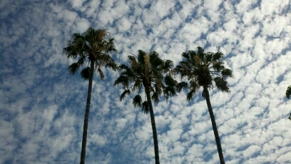 DJ_DREAM_ACT_LA's profile picture. 