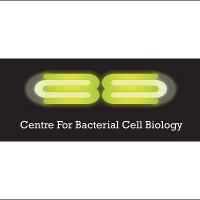 CBCB Newcastle (@cbcb_newcastle) 's Twitter Profile Photo CBCB Newcastle (@cbcb_newcastle) 's Twitter Profile Photo