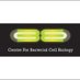 CBCB Newcastle (@cbcb_newcastle) Twitter profile photo CBCB Newcastle (@cbcb_newcastle) Twitter profile photo