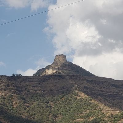 Z_Journalist's profile picture. 