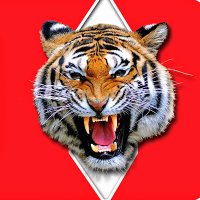 JD Donahoe (@donahoe_jd) 's Twitter Profile Photo JD Donahoe (@donahoe_jd) 's Twitter Profile Photo