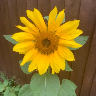 kaths76's profile picture. "Peace begins with a smile" Mother Theresa