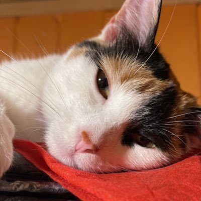 Alex21001231's profile picture.
